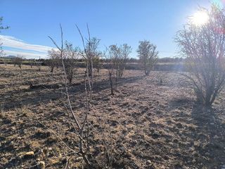 Solar en venta en Albaida