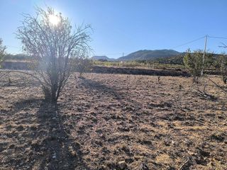 Solar en venta en Albaida