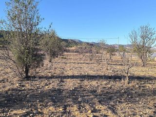 Solar en venta en Albaida