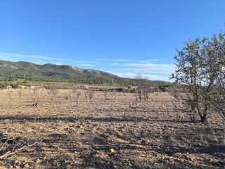 Solar en venta en Albaida