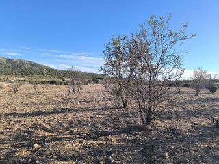 Solar en venta en Albaida