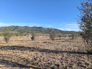 Solar en venta en Albaida