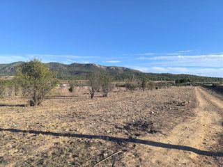 Solar en venta en Albaida