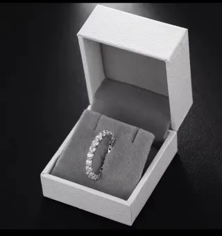 B. FRIDAY! Anillo de la ETERNIDAD Plata-Moissanita