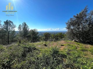 Terreno en venta en Zona Urbanizaciones en Alzira