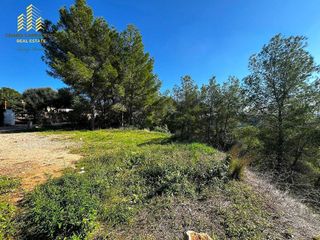 Terreno en venta en Zona Urbanizaciones en Alzira