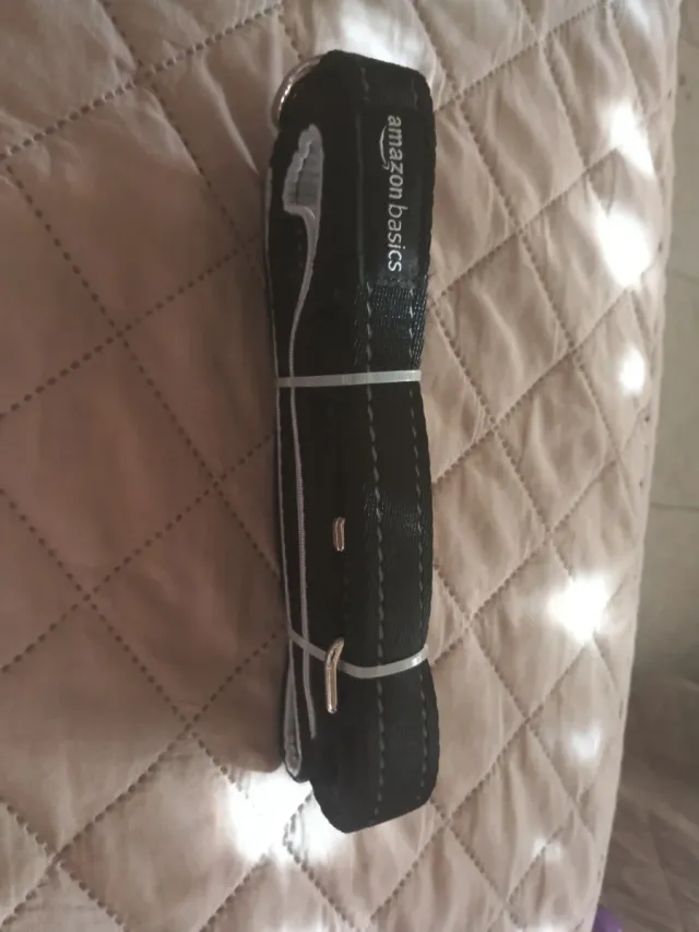 Correa para perro Amazon Basics negra
