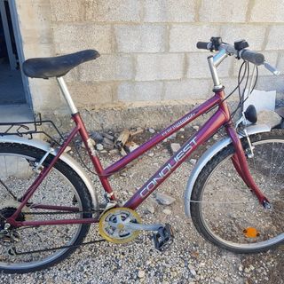 2 Bicicletas Wheeler Proline 2100