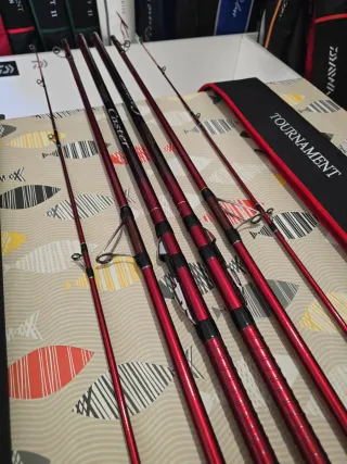 CAÑA DAIWA TOURNAMENT CASTER EVO 33-425 BE