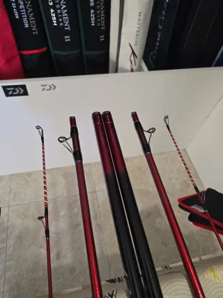 CAÑA DAIWA TOURNAMENT CASTER EVO 33-425 BE