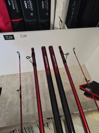 CAÑA DAIWA TOURNAMENT CASTER EVO 33-425 BE