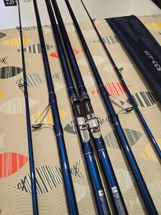 CAÑAS DAIWA PRIME CASTER 3 S33-425