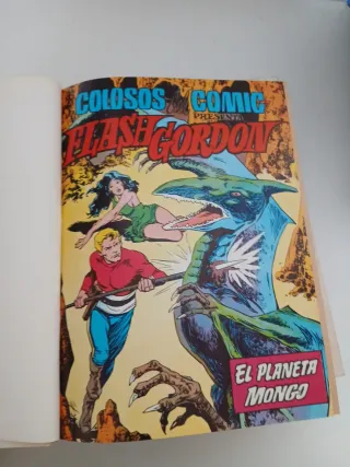 Flash gordon y la guerra de los mundos