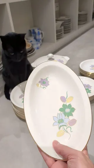 Vajilla de porcelana con flores marca Pontesa