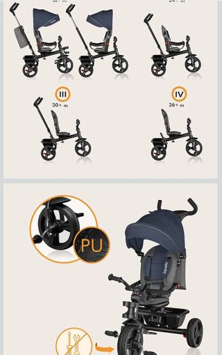 Triciclo/Carro Bebé LIONELO