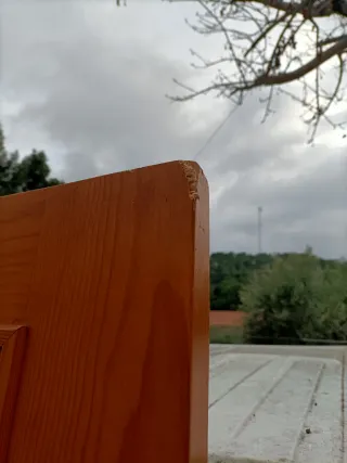 Puerta de comedor de madera con cristal opaco!