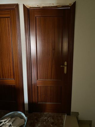 Puertas de madera de paso y salón