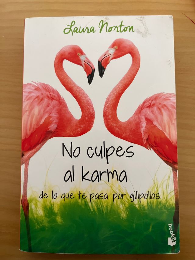 No culpes al karma de lo que te pasa por gilipo...