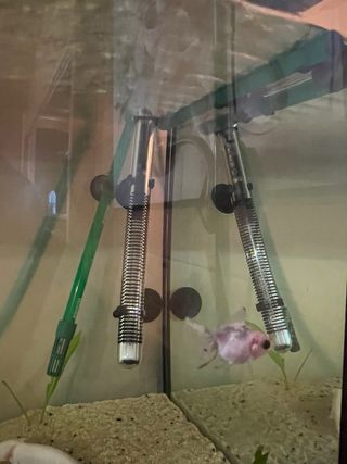 Filtro Eheim Classic 2211 para acuarios