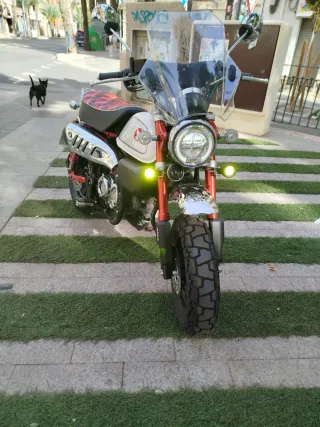 Honda Monkey 125cc - 500km