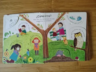 Mis primeras preguntas USBORNE Cómo veo?