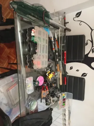 Lote pesca: cañas, carretes y accesorios