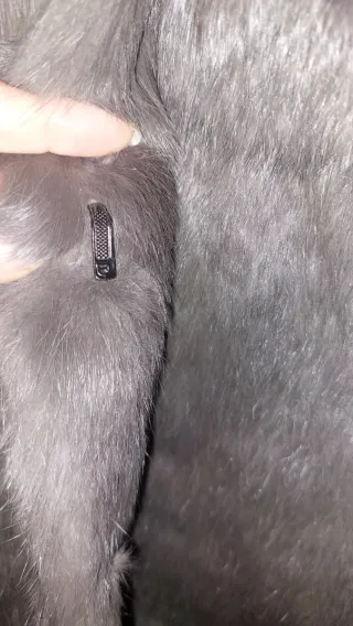 Chaquetón de pelo natural gris