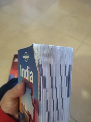 Guía India lonely