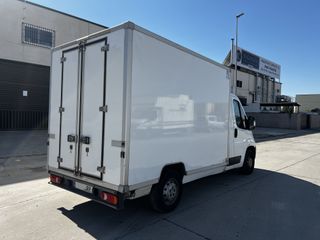 FIAT Ducato Frigorifico - 2016