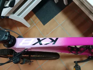 Bicicleta Monty Rx8 26 Rosa