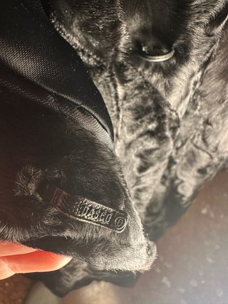 Abrigo mujer piel astracán negro