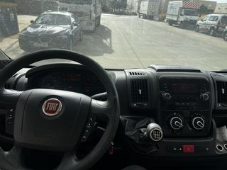 FIAT Ducato Frigorifico - 2017