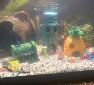 Decoración Acuario Bob Esponja 9 piezas