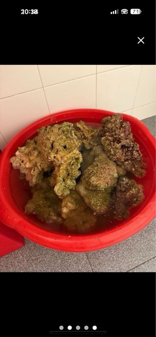 Roca muerta para acuario