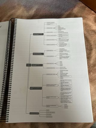 Temario oposiciones Educación Infantil