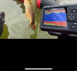 Sonda Garmin pesca