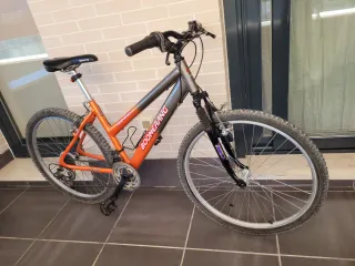 Bicicleta Boomerang Weekend