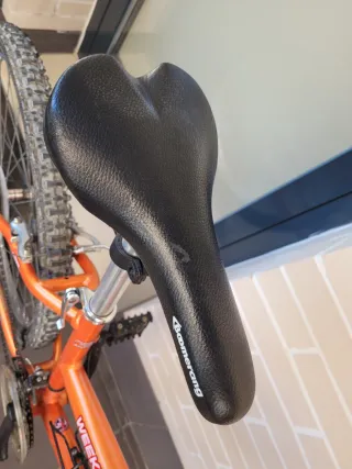 Bicicleta Boomerang Weekend