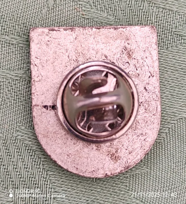 Spilla SS con scudo tricolore