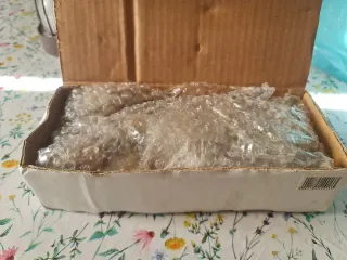 Set statuine dalmata