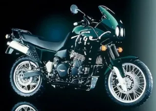Triumph Tiger 900 1996 Despiece