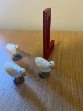 Ocas Nacimiento Belén