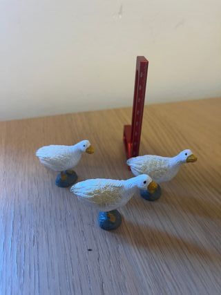 Ocas Nacimiento Belén