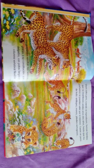 Animales del mundo nº 1