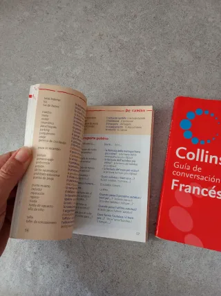 Diccionario Vox y guías de conversación