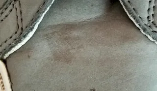 Converse grises con estrella blanca