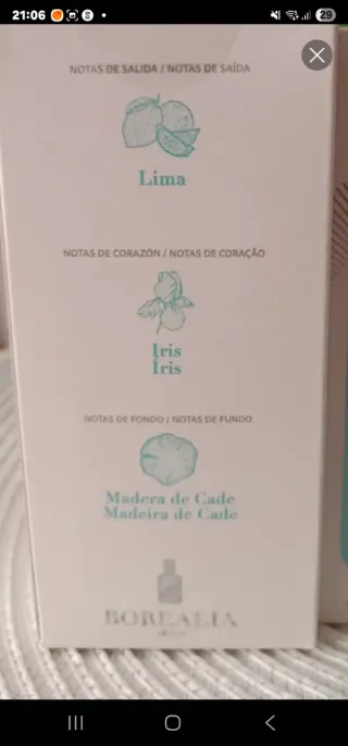 Perfume Hombre Borealia Azul/Verde