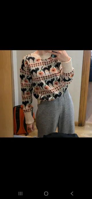 Jersey gatos y calabazas