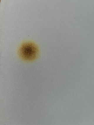 Conjunto Habitación Cama y Armario Madera