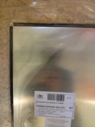 Lámina Metálica Conan La Espada Salvaje